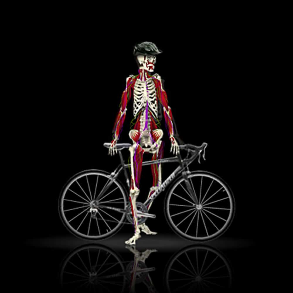 Dybdegående Body Geometry Fit