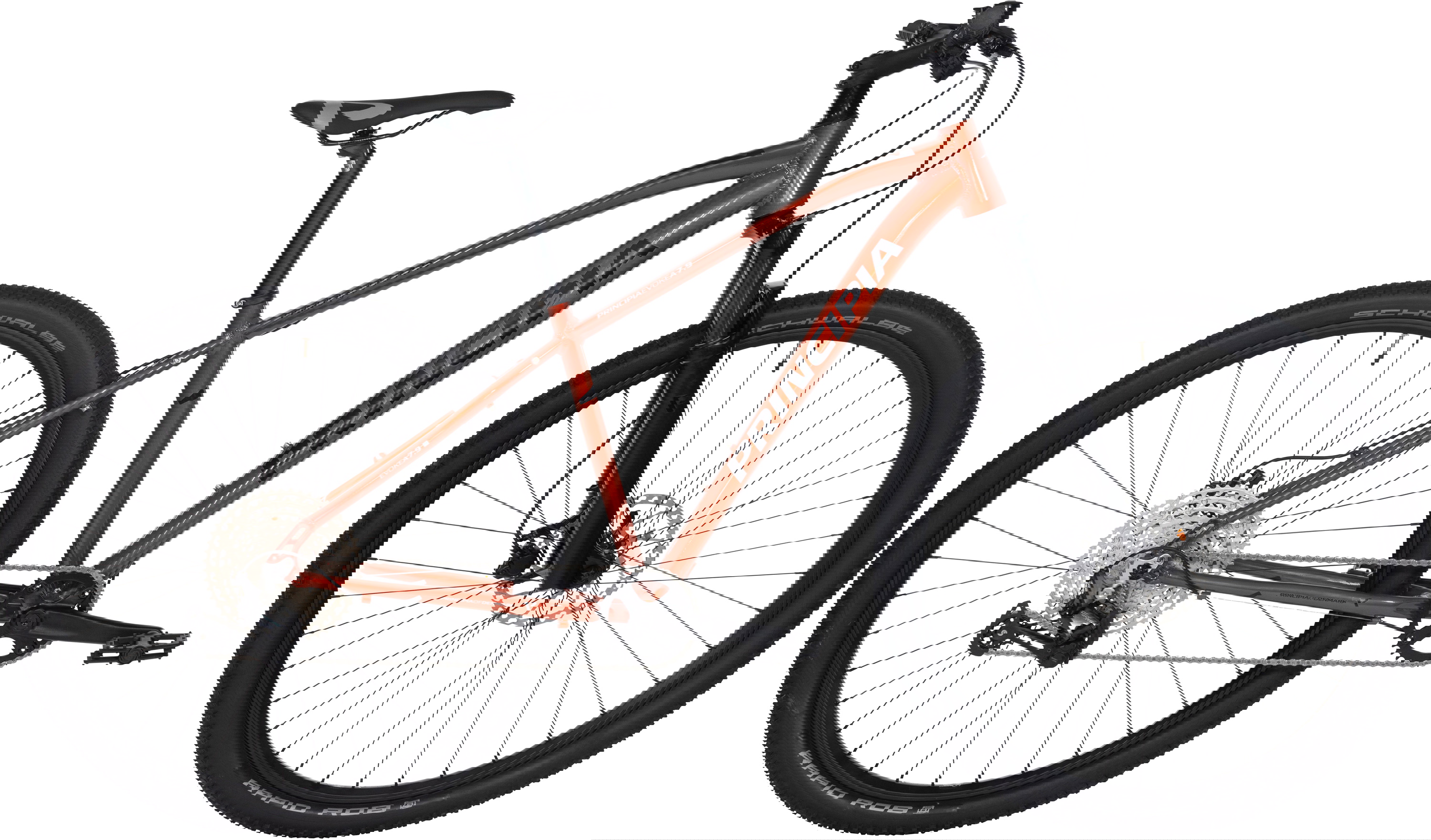 Principia A7   29 Quot  12g 2023 Orange  Udstillingsmodel